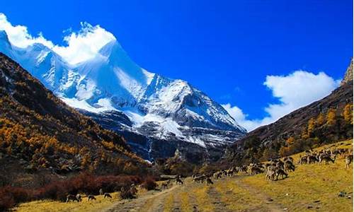 去稻城亚丁的旅游攻略_去稻城亚丁的旅游攻略图