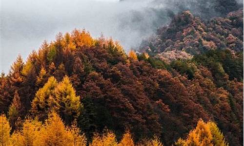 神农架旅游景点有哪些地方_神农架旅游景点有哪些地方好玩