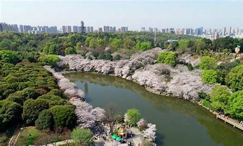 长沙植物园冬天有什么花_长沙植物园