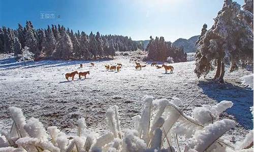 重庆武隆旅游攻略看雪_武隆有雪山吗