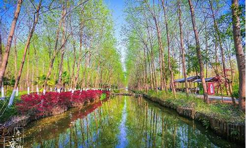 合肥滨湖湿地公园要门票吗_合肥滨湖新区湿地公园