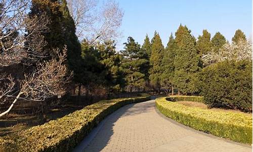 北京植物园一日游攻略_北京植物园