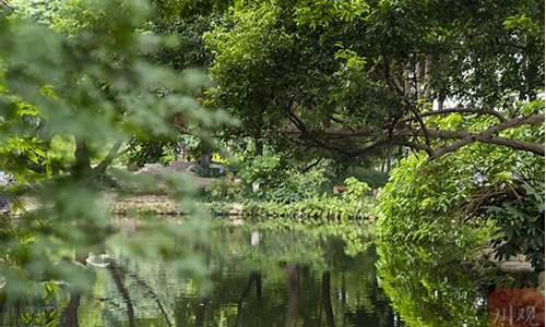 活水公园无蚊原理_活水公园