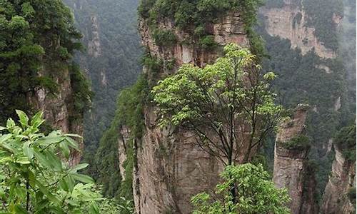 张家界自由行旅游攻略三日游路线_张家界自由行旅游攻略三日游