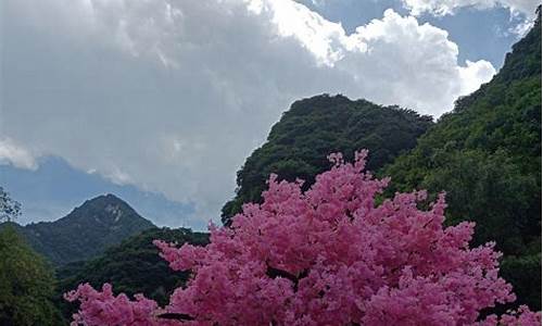 太平森林公园一日游攻略路线_太平森林公园一日游攻略