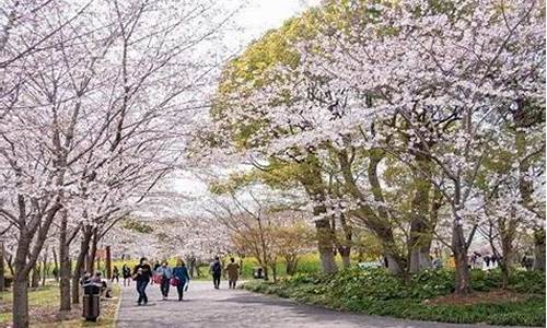 顾村公园樱花节怎么预约_顾村公园樱花节怎么预约的