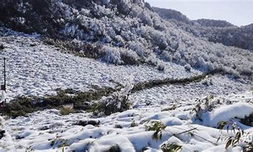 重庆到金佛山路线怎么走的啊多少钱_重庆到金佛山路线怎么走的啊多少钱啊