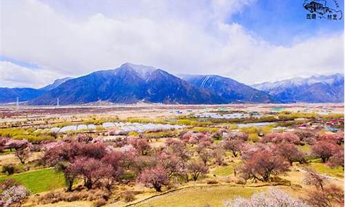 林芝旅游攻略景点必去_林芝旅游攻略景点必去的地方