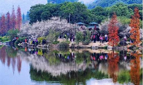 春季旅游景点有哪些_春季旅游景点有哪些地方