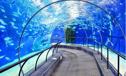 上海海洋水族馆攻略 转一圈如何再回去了_上海海洋水族馆怎么玩