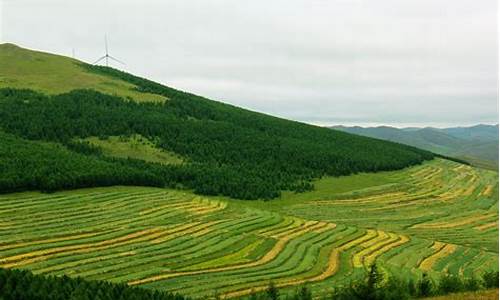 草原天路自驾游攻略2日游路线推荐_草原天路自驾游攻略2日游路线推荐一下