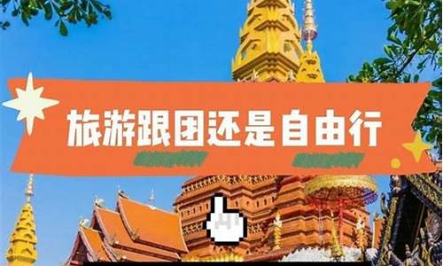 跟旅游团划算还是自由行划算呢_跟旅游团划算还是自由行划算呢英语